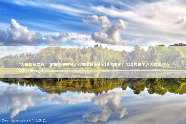 “大模型第二股”发布首份财报，亏损增超3倍至18亿美元！428名员工，人均年收入近20万美元_2