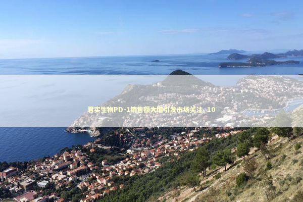 君实生物PD-1销售额大增引发市场关注_10