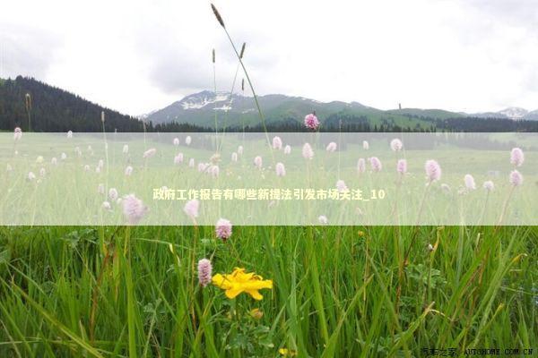 政府工作报告有哪些新提法引发市场关注_10