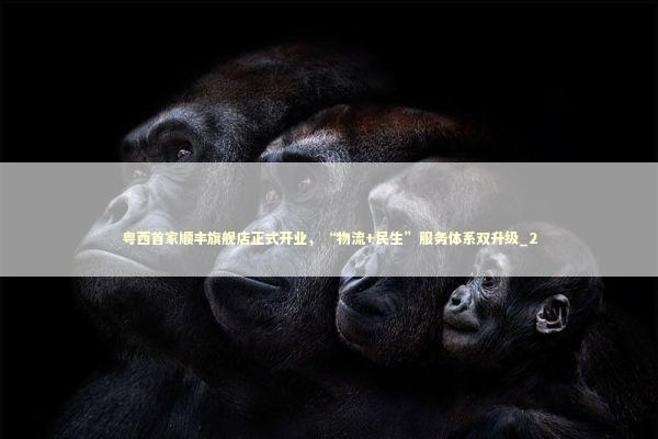 粤西首家顺丰旗舰店正式开业，“物流+民生”服务体系双升级_2