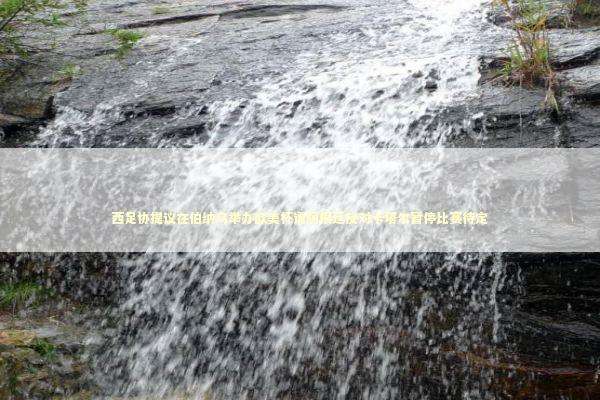 西足协提议在伯纳乌举办欧美杯遭阿根廷反对卡塔尔暂停比赛待定