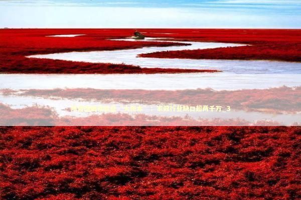 陈昌盛解读就业“大账本”：家政行业缺口超两千万_3