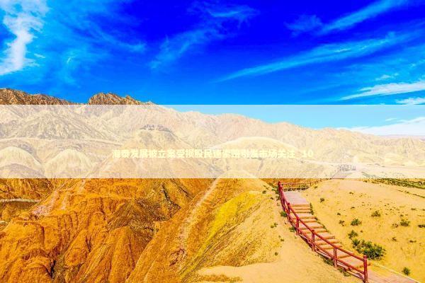 海泰发展被立案受损股民速索赔引发市场关注_10