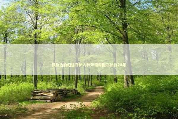 铁轨边的归途守护人林芳德和他守护的28年