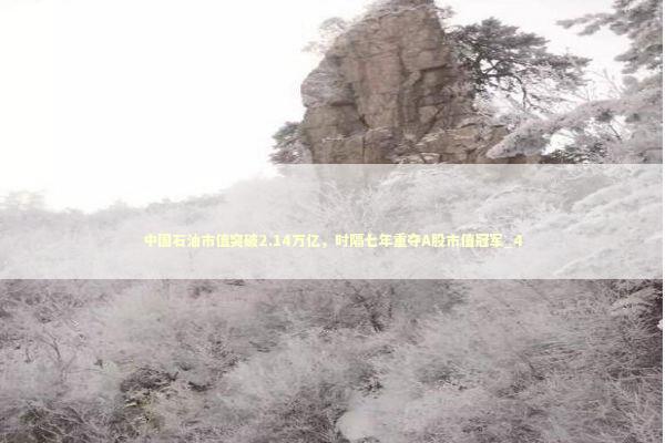 中国石油市值突破2.14万亿，时隔七年重夺A股市值冠军_4