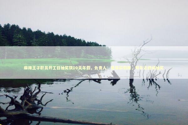 麻辣王子职员开工日抽奖获10天年假，负责人：是带薪假期，明年还继续抽奖