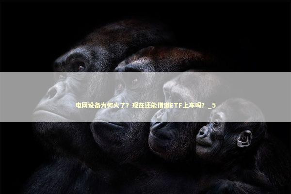 电网设备为何火了？现在还能借道ETF上车吗？_5