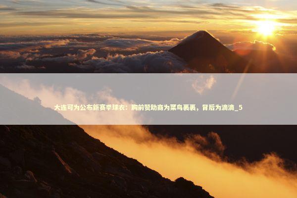 大连可为公布新赛季球衣：胸前赞助商为菜鸟裹裹，背后为滴滴_5