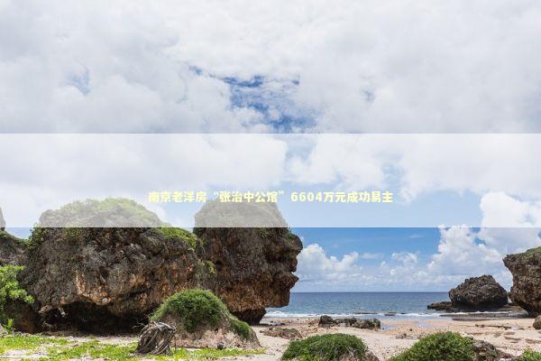 南京老洋房“张治中公馆”6604万元成功易主