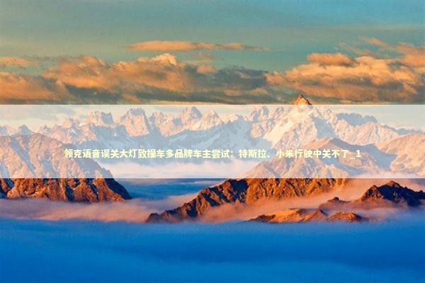 领克语音误关大灯致撞车多品牌车主尝试：特斯拉、小米行驶中关不了_1