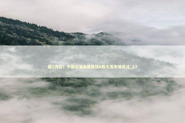 超2万亿！中国石油市值登顶A股引发市场关注_17