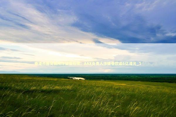 香港币圈交易所诈骗案后续：AAX负责人涉嫌卷款逾6亿港元_5