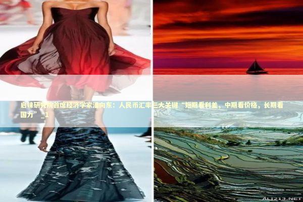 启铼研究院首席经济学家潘向东：人民币汇率三大关键“短期看利差，中期看价格，长期看国力”_1