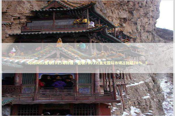 MiniMax发布2025年财报：营收7903万美元国际市场占比超70%_5