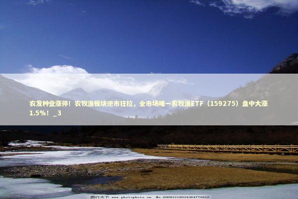 农发种业涨停！农牧渔板块逆市狂拉，全市场唯一农牧渔ETF（159275）盘中大涨1.5%！_3