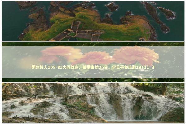 凯尔特人108-81大胜雄鹿，普里查德25分，字母哥复出取19+11_4