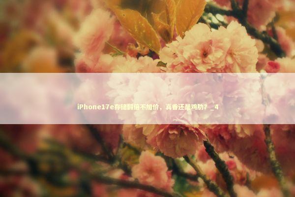 iPhone17e存储翻倍不加价，真香还是鸡肋？_4
