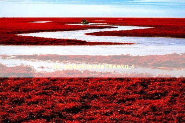 25亿，国资集体押注银河通用引发市场关注_5