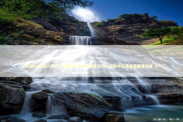 注销60家法人牌照、清退逾3000家分支机构！保险中介清虚提质再加速_5