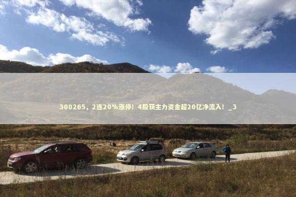 300265，2连20%涨停！4股获主力资金超20亿净流入！_3