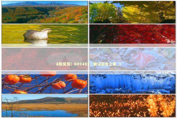 A股突发！600481，被证监会立案_1