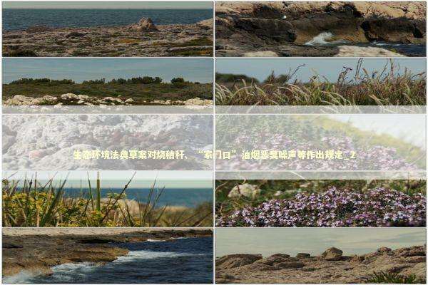 生态环境法典草案对烧秸秆、“家门口”油烟恶臭噪声等作出规定_2