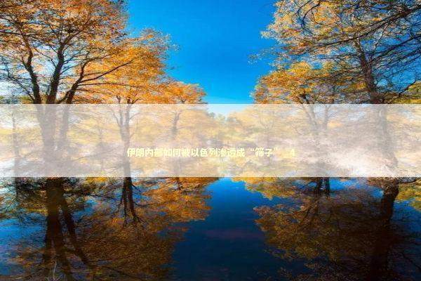 伊朗内部如何被以色列渗透成“筛子”_4