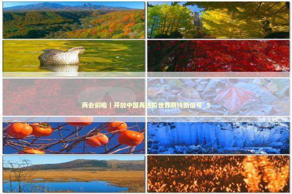 两会前瞻｜开放中国再进阶世界期待新信号_5