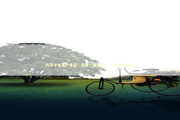 代孕子女落户争议：没有“出生证”，户口怎么落？