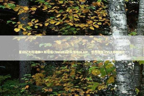 星动纪元陈建宇×斯坦福Chelsea团队发布VLAW，世界模型×VLA协同进化