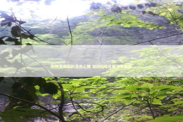 购物失误后的沮丧心情 如何轻松化解消费困扰