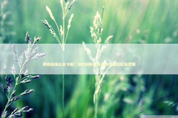 网络连接总是卡顿?深度剖析提升连接质量的实操逻辑 网络连接总是卡顿?深度剖析提升连接质量的实操逻辑 IT技术