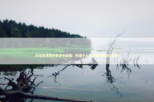 从信息泄露的焦虑中突围：构建个人数字隐私堡垒的思考