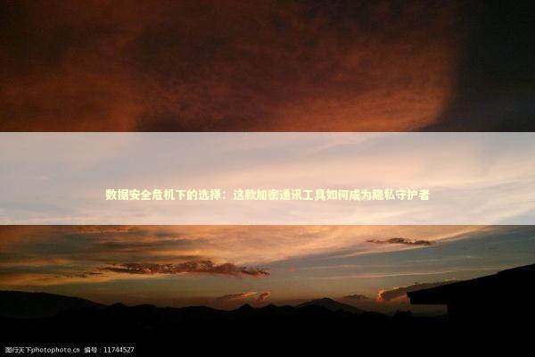 数据安全危机下的选择：这款加密通讯工具如何成为隐私守护者