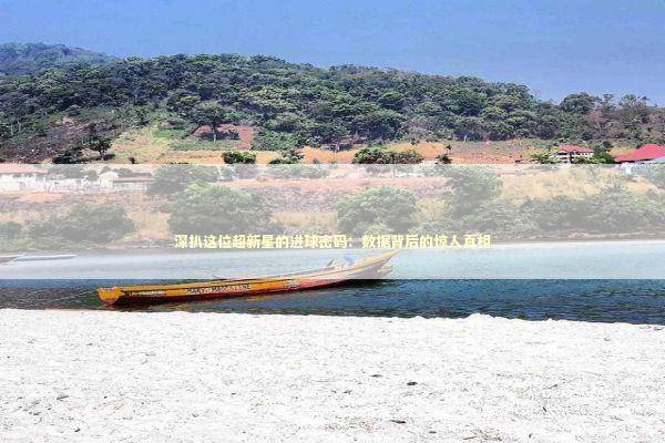 深扒这位超新星的进球密码：数据背后的惊人真相 体育新闻